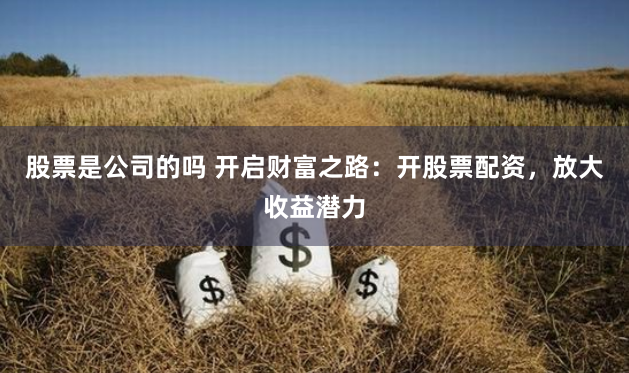 股票是公司的吗 开启财富之路：开股票配资，放大收益潜力