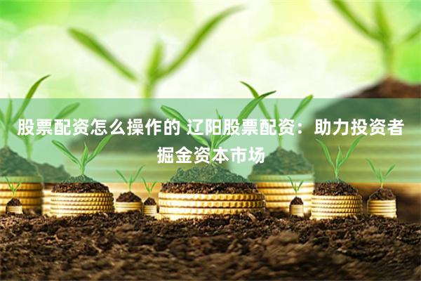 股票配资怎么操作的 辽阳股票配资：助力投资者掘金资本市场